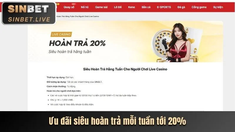 Hoàn trả cược hàng tuần 288kbet